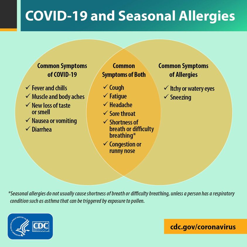 seasonal allergy infographic